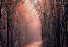 那不勒斯主场狂飙，剑指欧冠，蓝色的荣耀之夜！