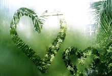 那不勒斯主场狂飙，剑指欧冠，蓝色的荣耀之夜！