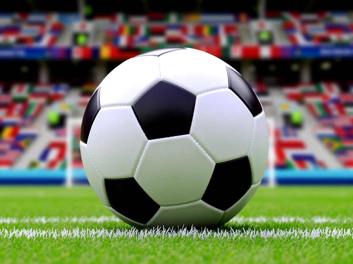 开云体育入口-CBA球队管理规范化 职业化进程加速,cba参赛队伍标准 第2张