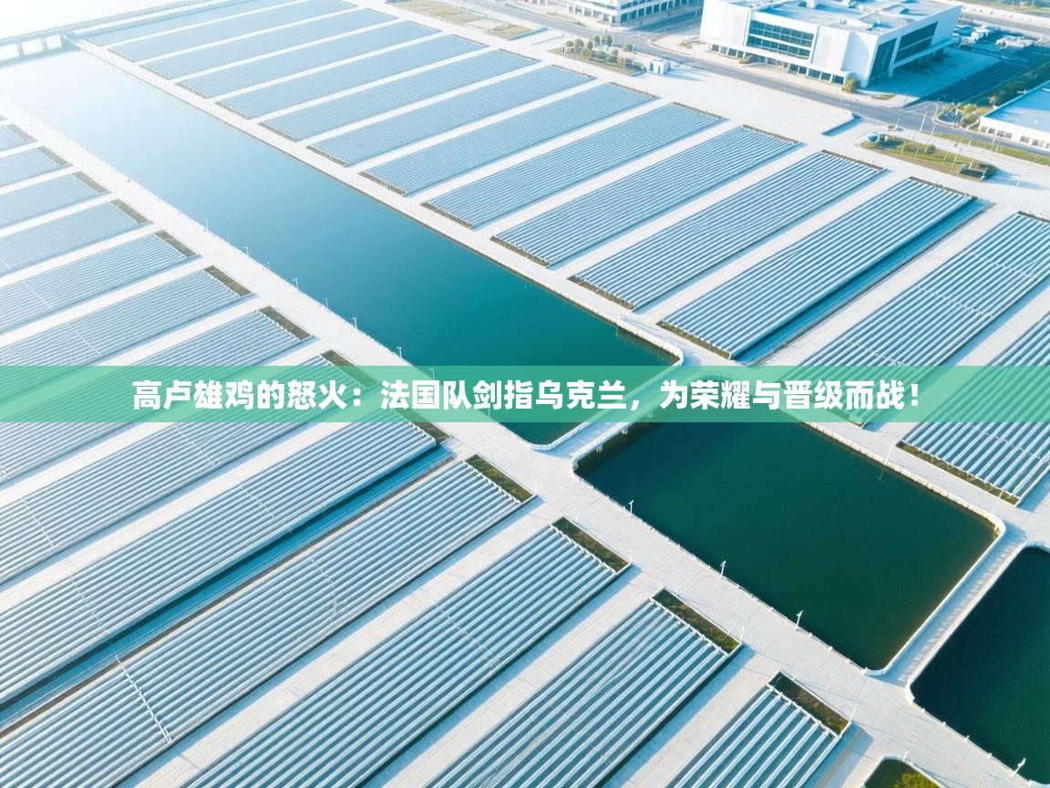 高卢雄鸡的怒火：法国队剑指乌克兰，为荣耀与晋级而战！  第1张