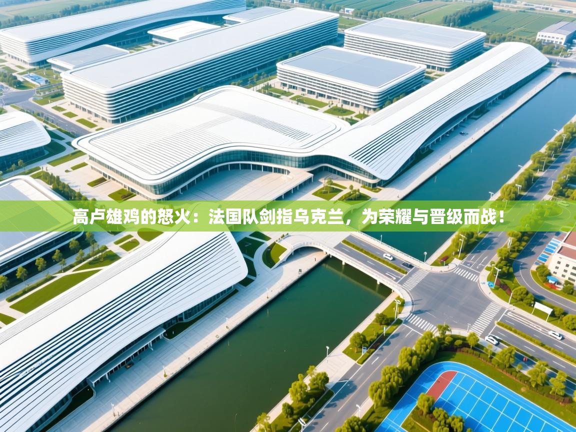 高卢雄鸡的怒火：法国队剑指乌克兰，为荣耀与晋级而战！  第2张